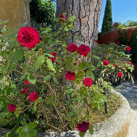 Le Clos De L'Isle Arles Exterior photo